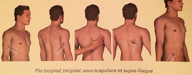 mesure-pli-cutané-sèche-musculaire_methode_4_points