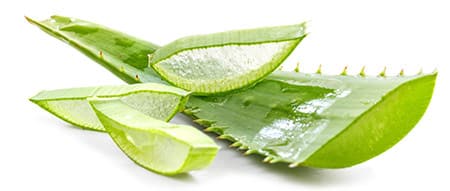 aloe vera santé