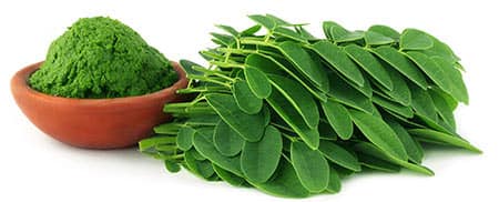 moringa santé