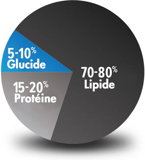 régime faible en glucides