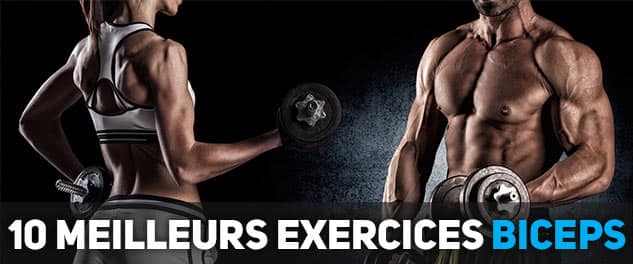 10 Meilleurs Exercices Biceps Pour Construire Le Muscle